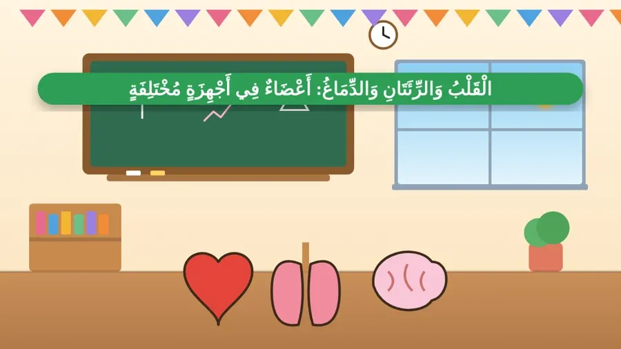 الْقَلْبُ وَالرِّئَتَانِ وَالدِّمَاغُ: أَعْضَاءٌ فِي أَجْهِزَةٍ مُخْتَلِفَةٍ