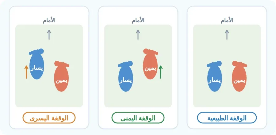 القدمان من أعلى: في الوقفة الطبيعية متجاورتان بعرض الكتفين، وفي الوقفة اليمنى القدم اليمنى أمام قليلًا، وفي الوقفة اليسرى القدم اليسرى أمام قليلًا
