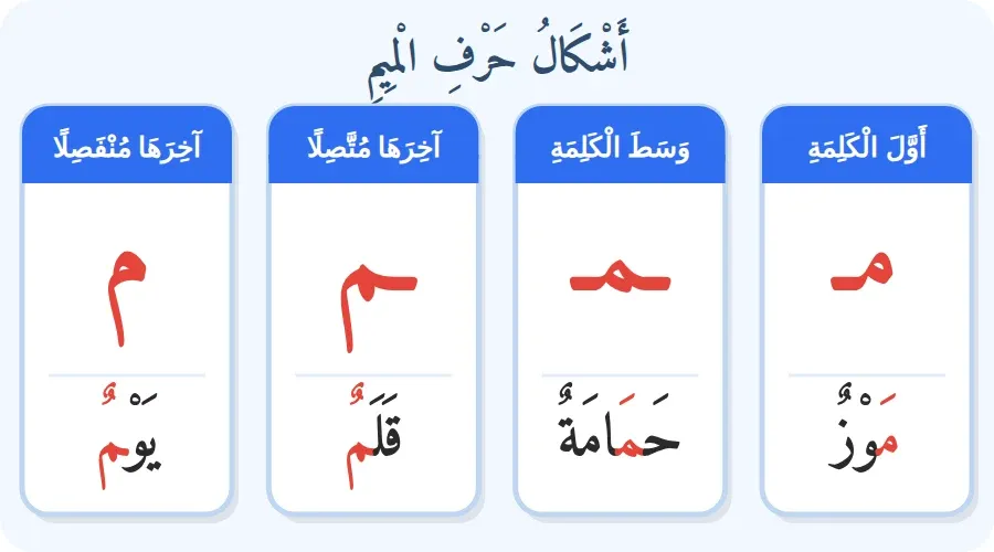 أشكال حرف الميم في أول الكلمة ووسطها وآخرها