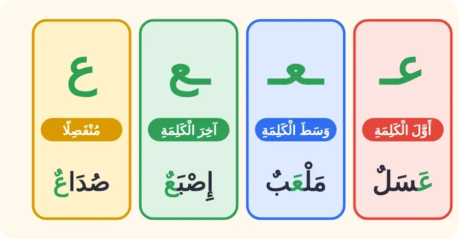 أشكال حرف العين: عـ في أول الكلمة، ـعـ في وسطها، ـع في آخرها متصلًا، ع منفصلًا