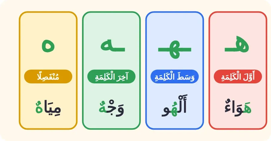 أشكال حرف الهاء: هـ في أول الكلمة، ـهـ في وسطها، ـه في آخرها متصلًا، ه منفصلًا