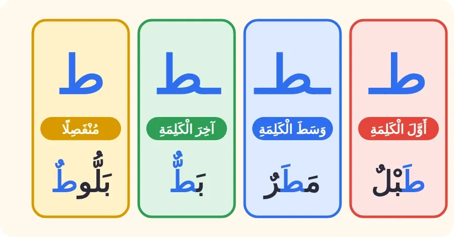 أشكال حرف الطاء: طـ في أول الكلمة، ـطـ في وسطها، ـط في آخرها متصلًا، ط منفصلًا