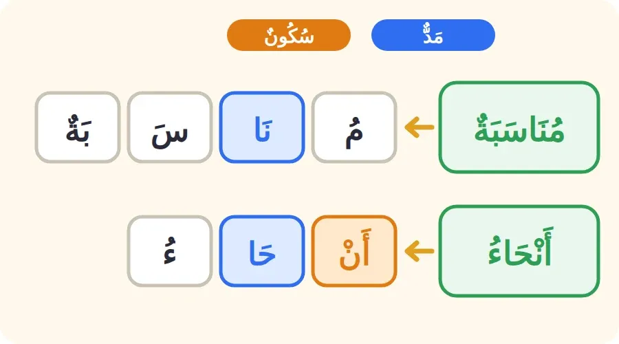 بطاقة المقاطع: حرف المد والحرف الساكن مع الحرف الذي قبلهما في كلمتي مناسبة وأنحاء