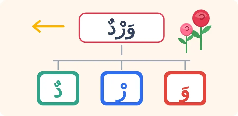 تَحْلِيلُ كَلِمَةِ وَرْدٌ إِلَى أَصْوَاتِهَا: وَ ـ رْ ـ دٌ