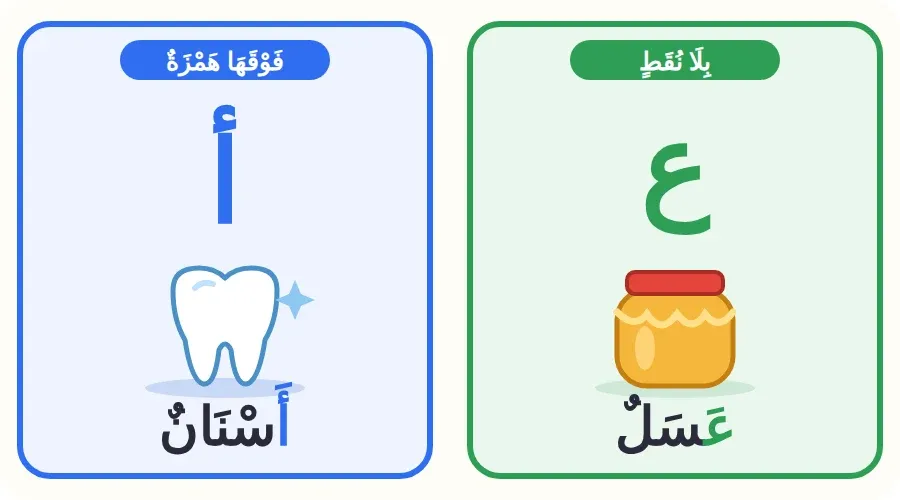 مقارنة بين حرف العين في كلمة عسل وحرف الألف المهموزة في كلمة أسنان