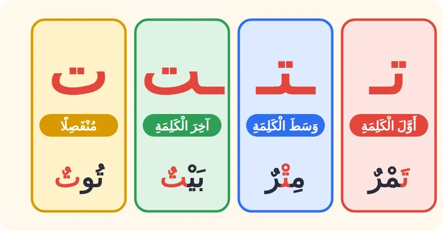 أشكال حرف التاء: تـ في أول الكلمة، ـتـ في وسطها، ـت في آخرها متصلًا، ت منفصلًا
