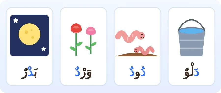 دلو ودود وورد وبدر