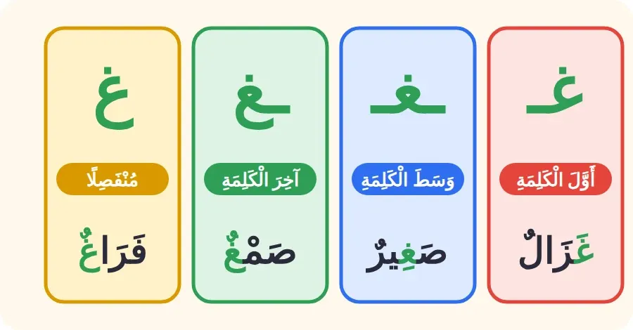 أشكال حرف الغين: غـ في أول الكلمة، ـغـ في وسطها، ـغ في آخرها متصلًا، غ منفصلًا