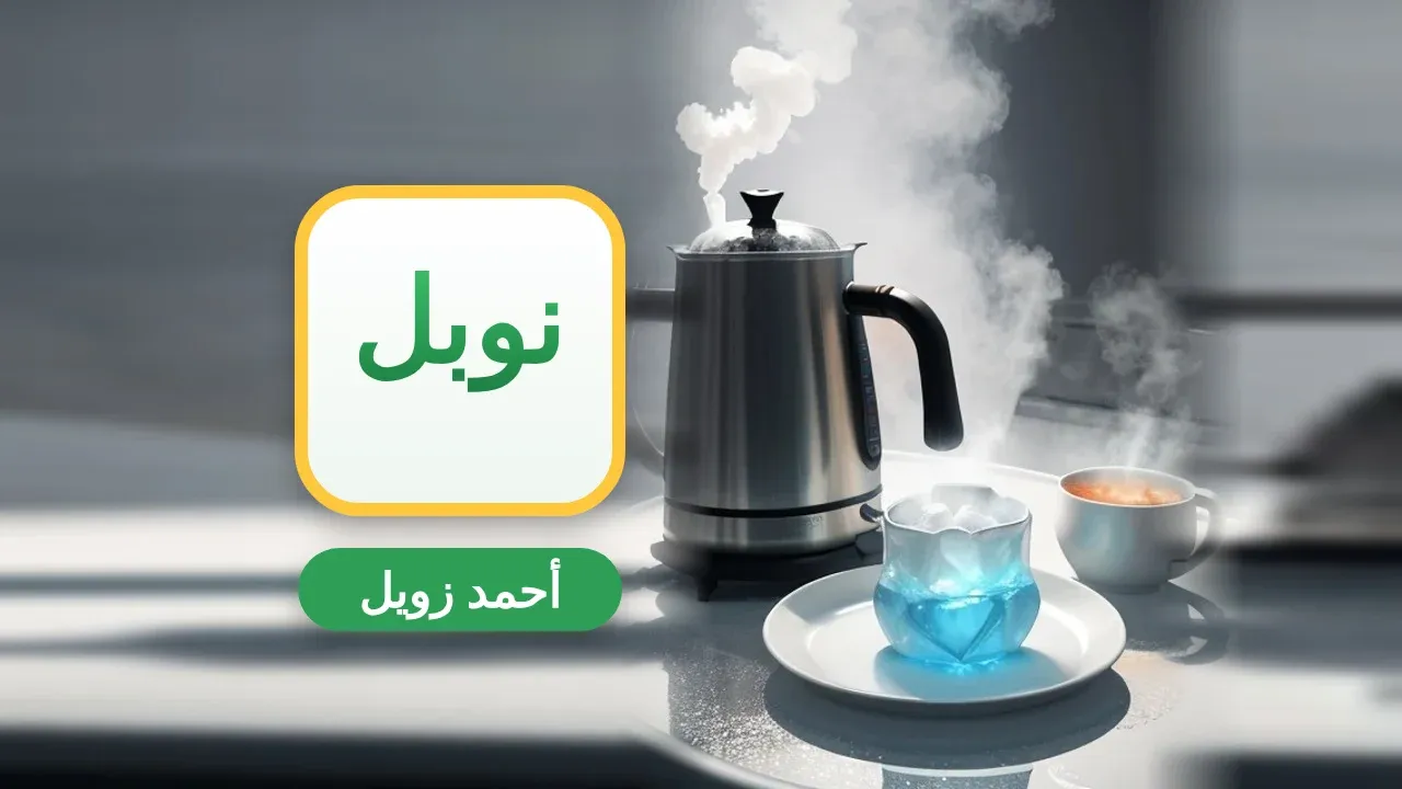 بحث عن أحمد زويل
