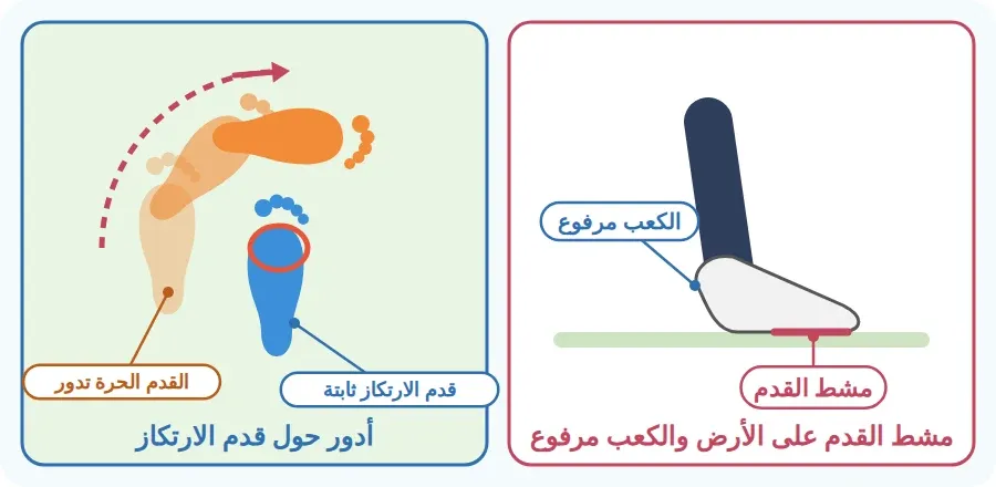 الارتكاز: قدم الارتكاز ثابتة ومشطها على الأرض والكعب مرفوع، والقدم الحرة تدور حولها