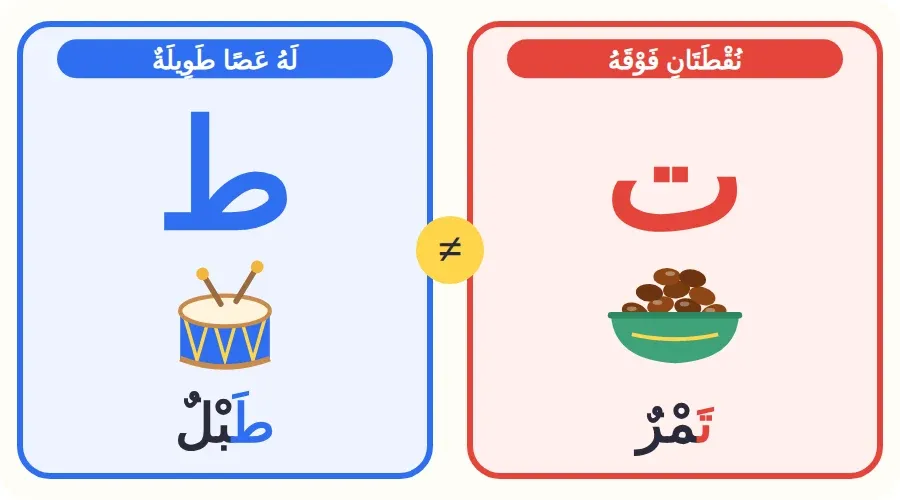 مقارنة بين حرف التاء في كلمة تمر وحرف الطاء في كلمة طبل
