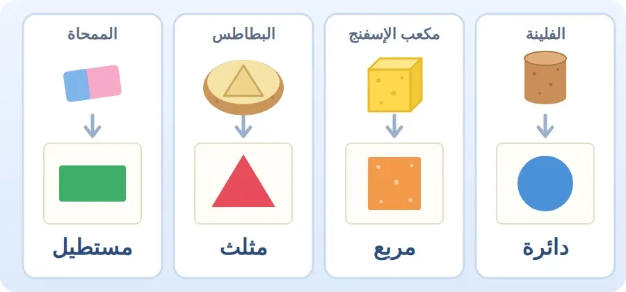 قوالب الأشكال الهندسية وطبعاتها: الفلينة تطبع دائرة، ومكعب الإسفنج يطبع مربعًا، والبطاطس المقطوعة مثلثًا تطبع مثلثًا، والممحاة تطبع مستطيلًا