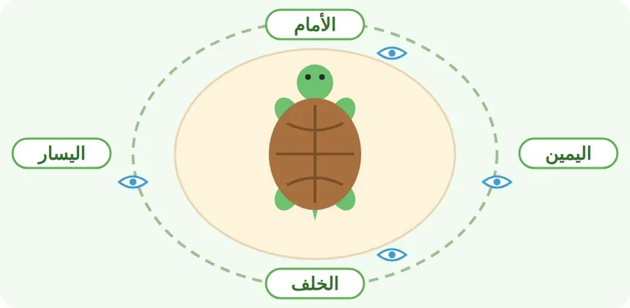 أرى المجسم من الأمام والخلف واليمين واليسار
