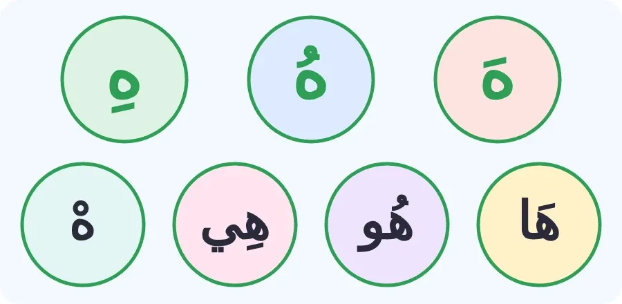 حرف الهاء بالفتحة والضمة والكسرة، وبالمدود: ها، هو، هي، وبالسكون
