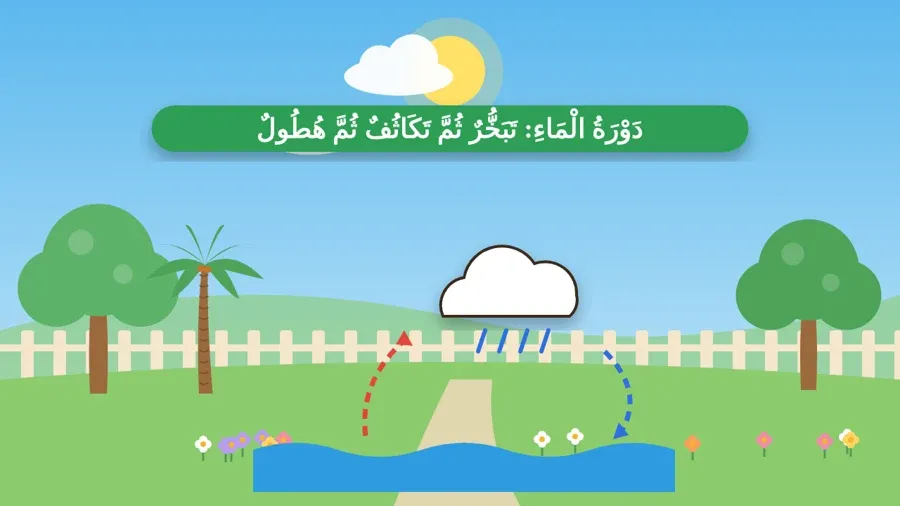 دَوْرَةُ الْمَاءِ: تَبَخُّرٌ ثُمَّ تَكَاثُفٌ ثُمَّ هُطُولٌ