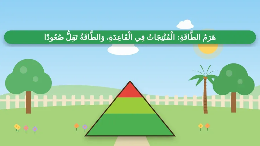 هَرَمُ الطَّاقَةِ: الْمُنْتِجَاتُ فِي الْقَاعِدَةِ، وَالطَّاقَةُ تَقِلُّ صُعُودًا