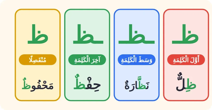 أشكال حرف الظاء: ظـ في أول الكلمة، ـظـ في وسطها، ـظ في آخرها متصلًا، ظ منفصلًا