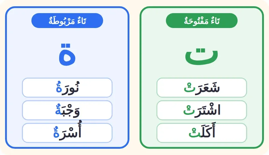 بطاقة: التاء المفتوحة في شعرت واشترت وأكلت، والتاء المربوطة في نورة ووجبة ومدرسة