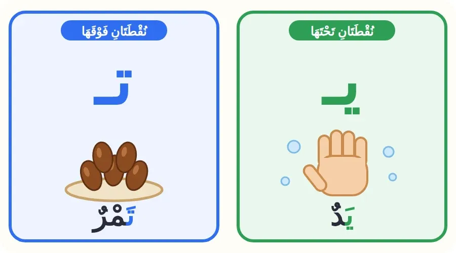 مقارنة بين حرف الياء في كلمة يد وحرف التاء في كلمة تمر