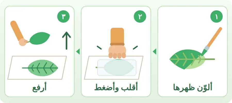 الطباعة بورقة الشجر: ألوّن ظهر الورقة، ثم أقلبها وأضغطها على الورقة، ثم أرفعها فتظهر العروق، والطبعة مقلوبة