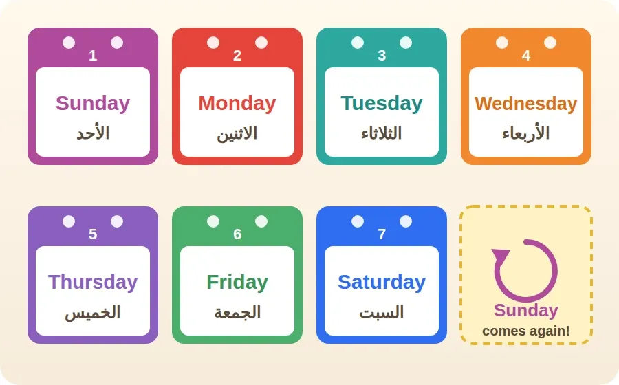أوراق تقويم ملوّنة لأيام الأسبوع السبعة بالترتيب، ثم يعود Sunday من جديد