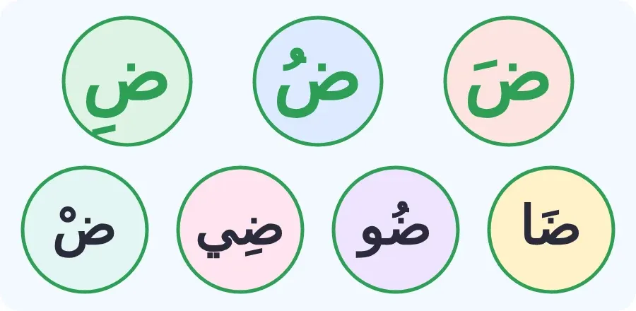 حرف الضاد بالفتحة والضمة والكسرة، وبالمدود: ضا، ضو، ضي، وبالسكون