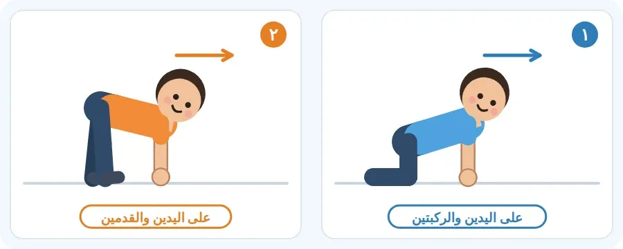 الزحف على اليدين والركبتين، ثم الزحف على اليدين والقدمين مثل الدب