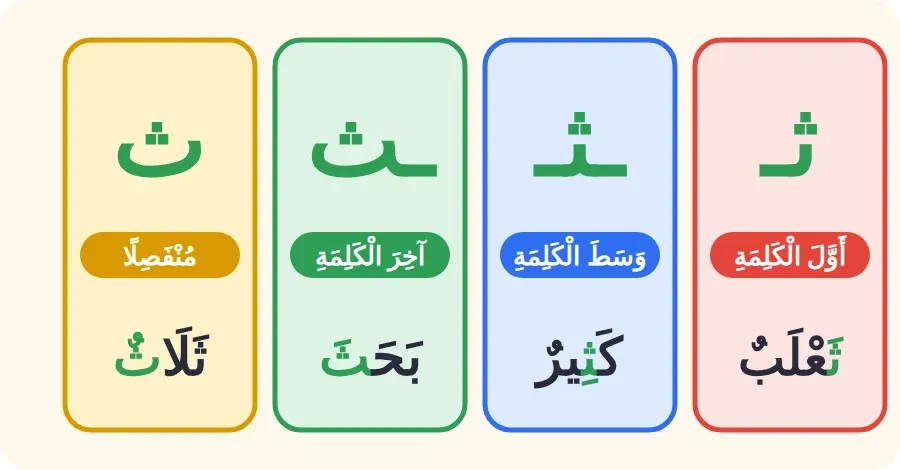 أشكال حرف الثاء: ثـ في أول الكلمة، ـثـ في وسطها، ـث في آخرها متصلًا، ث منفصلًا