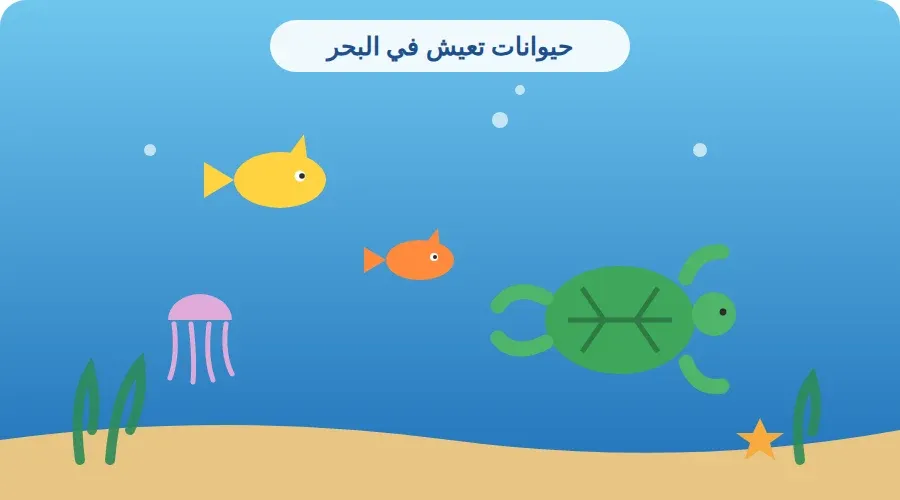 حيوانات تعيش في البحر: سمك وسلحفاة وقنديل بحر