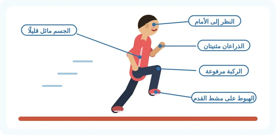 الوضع الصحيح للجري: النظر إلى الأمام، الذراعان مثنيتان، الركبة مرفوعة، الهبوط على مشط القدم، والجسم مائل قليلًا