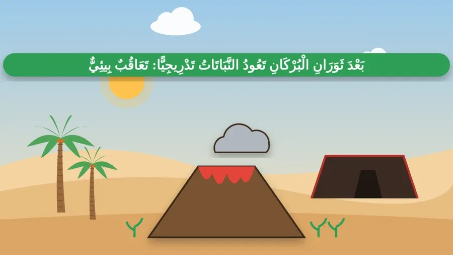 بَعْدَ ثَوَرَانِ الْبُرْكَانِ تَعُودُ النَّبَاتَاتُ تَدْرِيجِيًّا: تَعَاقُبٌ بِيئِيٌّ
