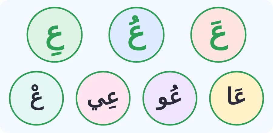 حرف العين بالفتحة والضمة والكسرة، وبالمدود: عا، عو، عي، وبالسكون