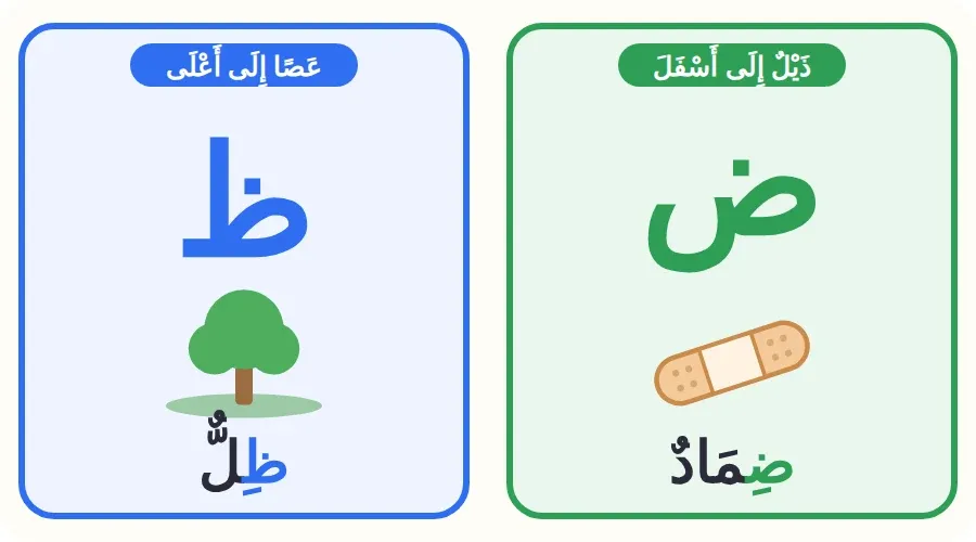 مقارنة بين حرف الضاد في كلمة ضماد وحرف الظاء في كلمة ظل