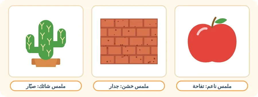 ثلاثة ملامس: تفاحة ملمسها ناعم، وجدار ملمسه خشن، وصبّار ملمسه شائك