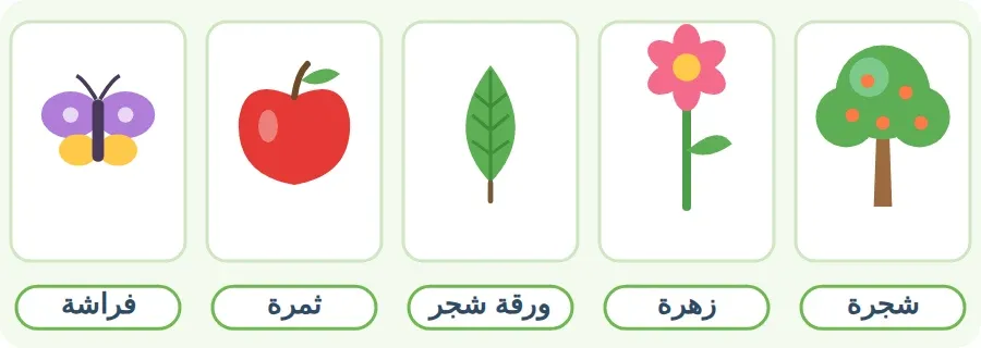 خمسة أشياء من الطبيعة نرسمها: شجرة، زهرة، ورقة شجر، ثمرة، فراشة