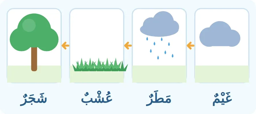 غَيْمٌ ثُمَّ مَطَرٌ ثُمَّ عُشْبٌ ثُمَّ شَجَرٌ