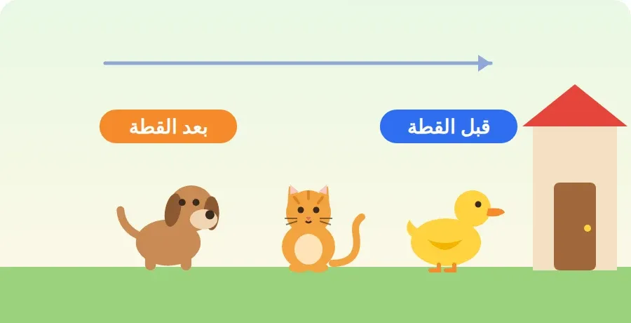 بطة ثم قطة ثم كلب في طابور يسير نحو باب البيت