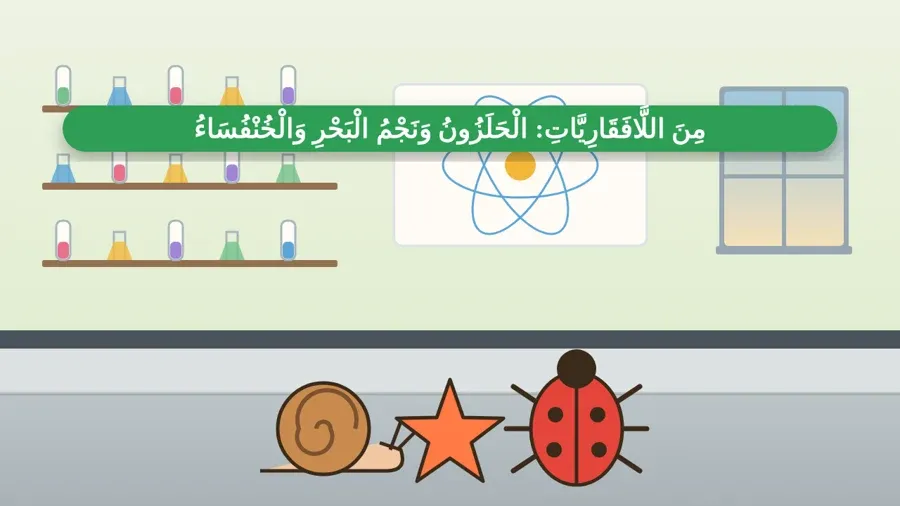 مِنَ اللَّافَقَارِيَّاتِ: الْحَلَزُونُ وَنَجْمُ الْبَحْرِ وَالْخُنْفُسَاءُ