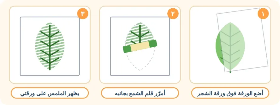 ثلاث خطوات لنقل ملمس ورقة شجر: أضع الورقة فوقها، أمرّر قلم الشمع بجانبه، يظهر الملمس