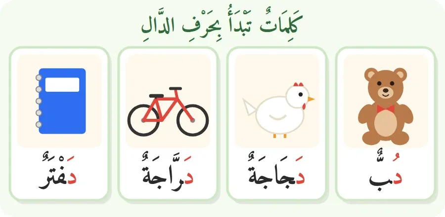 صور كلمات تبدأ بحرف الدال: دب، دجاجة، دراجة، دفتر