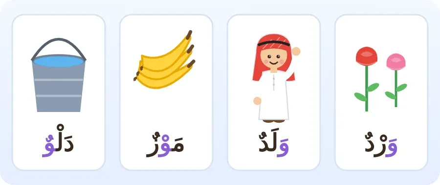ورد وولد وموز ودلو
