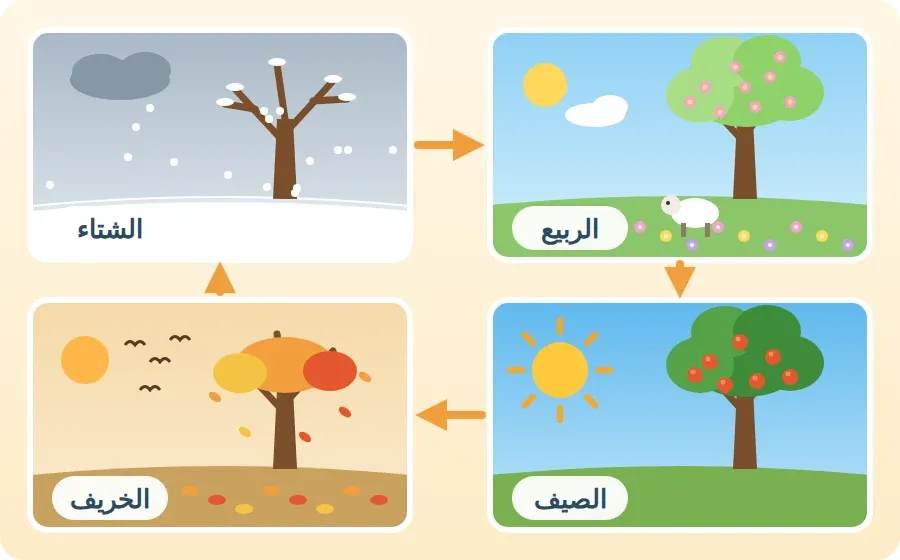 شجرة واحدة في الفصول الأربعة بالترتيب