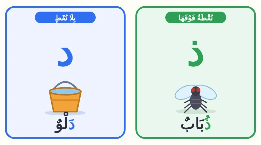 مقارنة بين حرف الذال في كلمة ذباب وحرف الدال في كلمة دلو