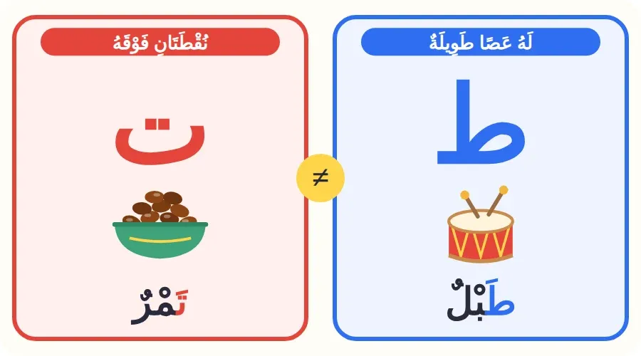 مقارنة بين حرف الطاء في كلمة طبل وحرف التاء في كلمة تمر