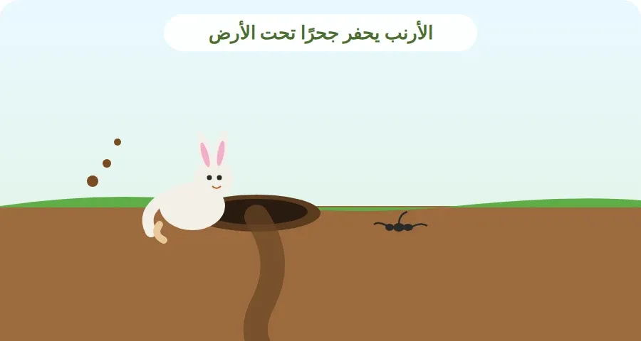 أرنب يحفر جحرًا تحت الأرض