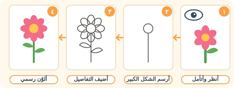 أربع خطوات لرسم زهرة: أنظر وأتأمل، أرسم الشكل الكبير، أضيف التفاصيل، ألوّن رسمي
