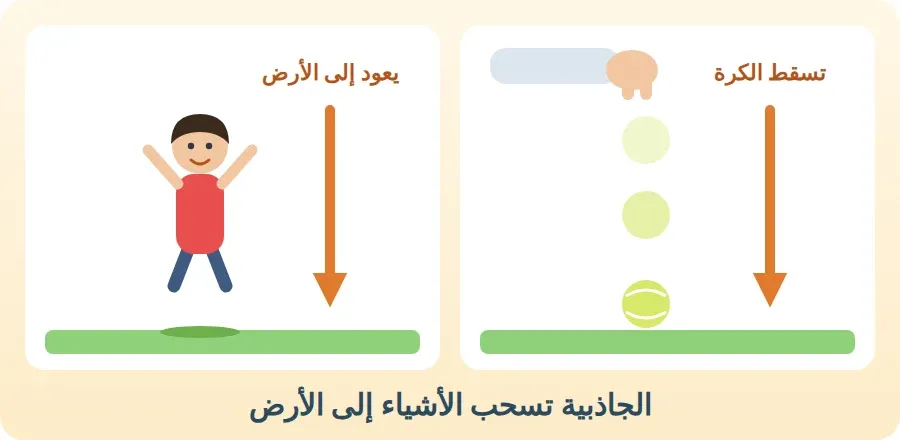 كرة تسقط من اليد إلى الأرض لأن الجاذبية تسحبها إلى أسفل