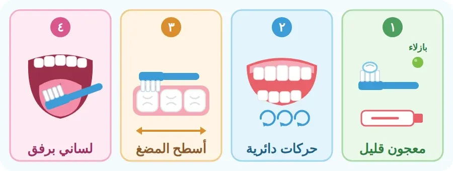 خطوات تنظيف الأسنان: أضع قليلًا من المعجون، أنظف الأسطح الأمامية، أنظف أسطح المضغ، أنظف لساني
