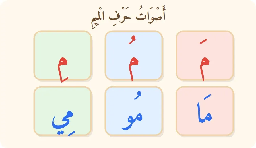 أصوات حرف الميم بالحركات الثلاث والمدود