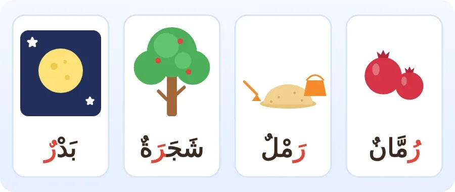 رمان ورمل وشجرة وبدر